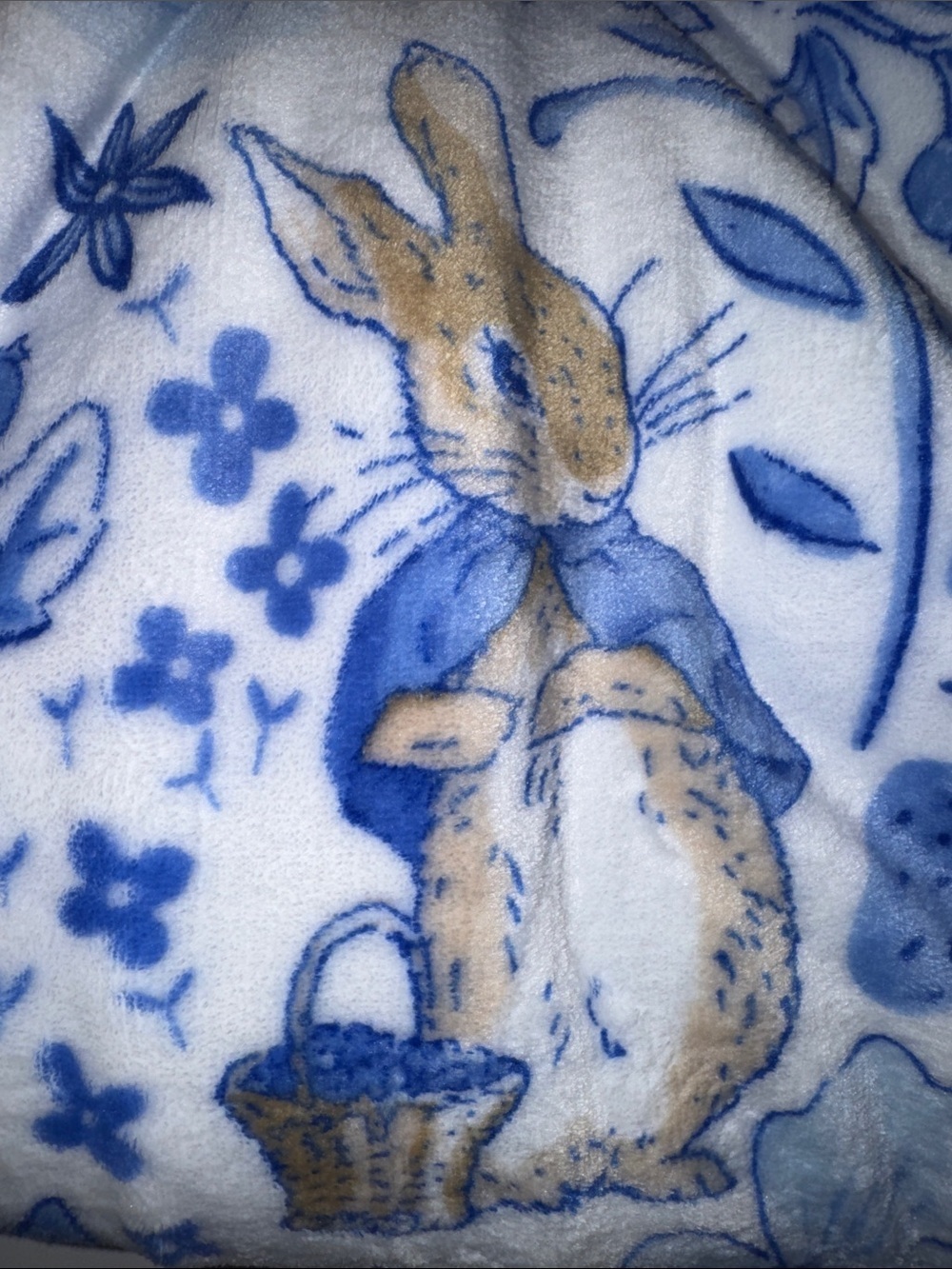Peter Rabbit Soft Plush Throw - Picture 3 of 3